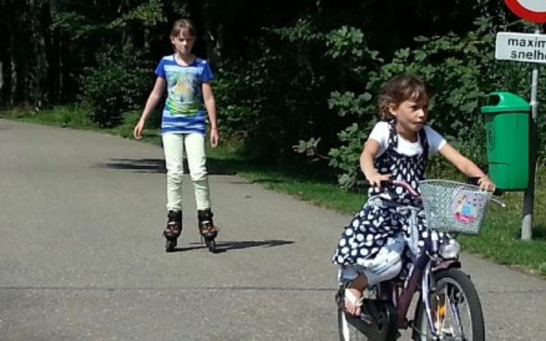 Ferienpark mit  Inline-Skatestrecken posterbos