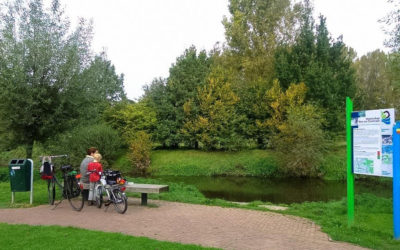 Oorpijn van bladergeritsel? Hoe dan?