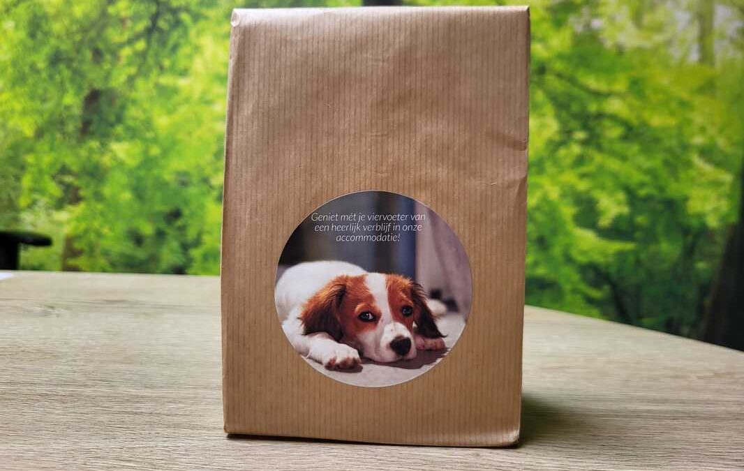 Der Hund darf mitkommen